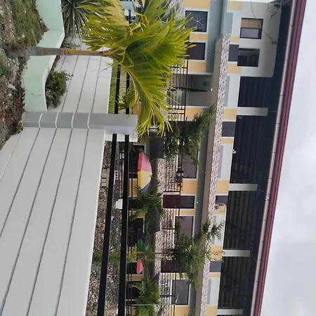 Althea Birds Nest Inn-3